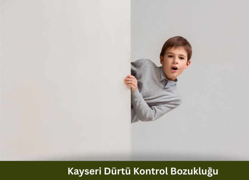 Kayseri Dürtü Kontrol Bozukluğu